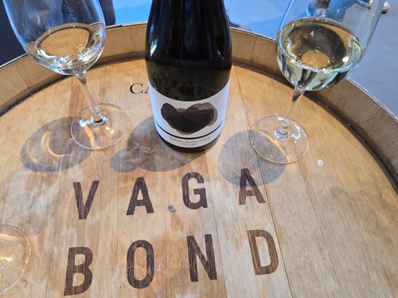 Artelium x Vagabond Nature Series Cuv&eacute;e 2019
